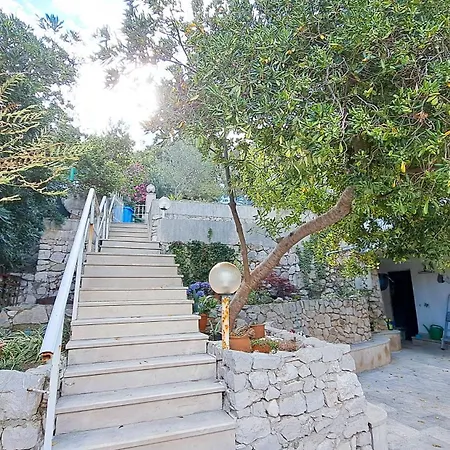 Pitospora Apartament