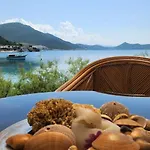 Διαμέρισμα Pitospora Klek