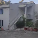 Pitospora * Klek