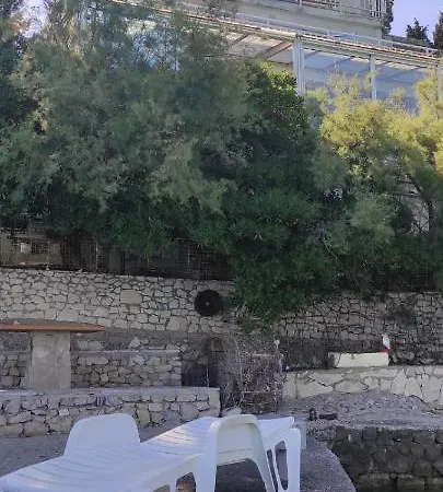 Pitospora كليك